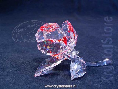 Swarovski Crystal - Blossom Rose Red