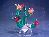 Crystal Flowers Woestijnroze Cactus