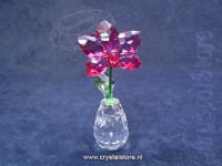 Bloemendromen - Orchidee