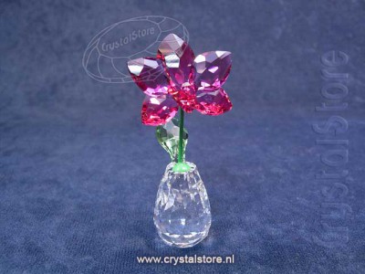 Swarovski Kristal 2017 5254318 Bloemendromen - Orchidee