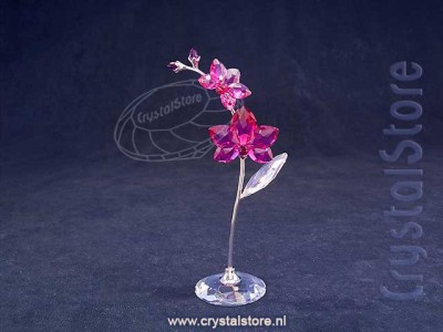 Swarovski Kristal - Bloemendromen Orchidee groot