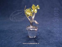Narcissus - Rhodium