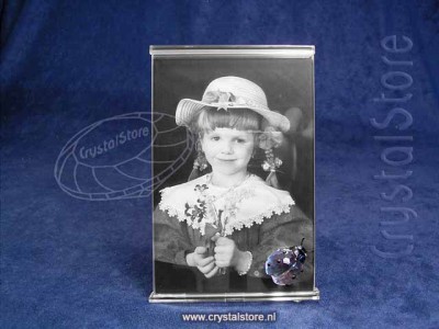 Swarovski Crystal - Picture Frame with Ladybird