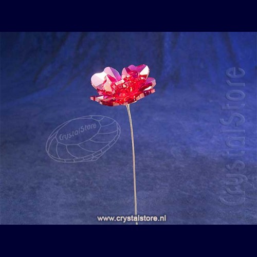 Swarovski Crystal | Garden Tales Rose (5557800)