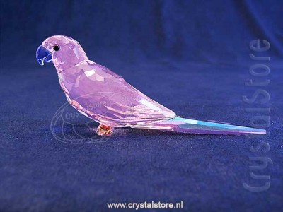 Swarovski Crystal - Jungle Beats Pink Parakeet Cha Cha 