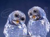 Swarovski Crystal - Owl Couple