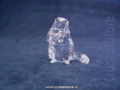 Swarovski Kristal - SCS - Marmot (Eventstuk 2020)