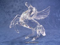 Pegasus jaarstuk 1998