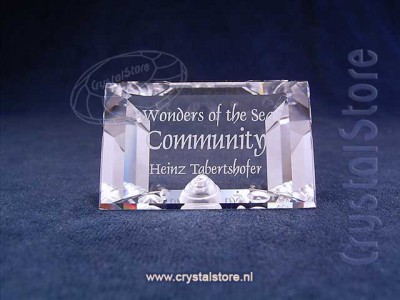 Swarovski Kristal - Titel Plaquette Community 2007