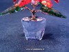 Swarovski Crystal - Poinsettia (2017 issue)