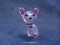 swarovski kristal | Kitten - Millie the American Shorthair 