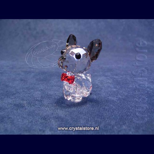 puppy-bruno-de-franse-bulldog- puppy-bruno-de-franse-bulldog-