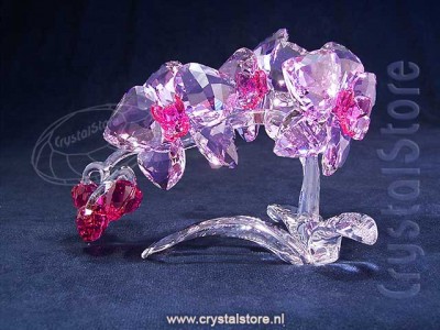 Swarovski Kristal - Orchidee