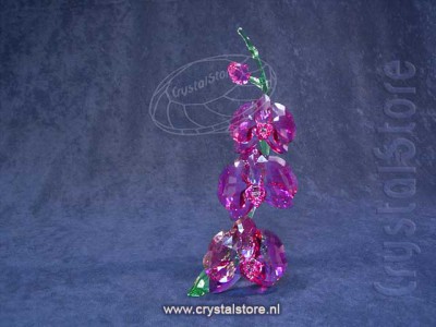 Swarovski Crystal - Orchids