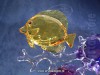 Swarovski Kristal 2016 5223195 Rainbow Fish Family