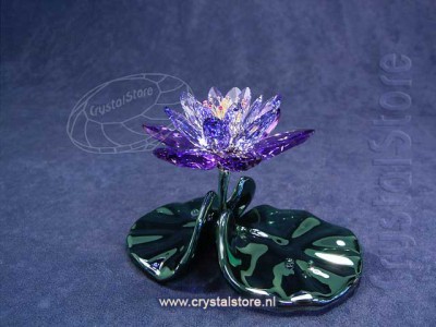 Swarovski Crystal - Waterlily Blue Violet