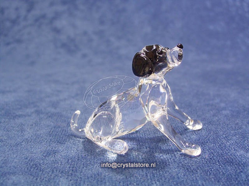 zondag dood gaan Betekenisvol swarovski kristal | Dalmatiër Pup zittend (628909)