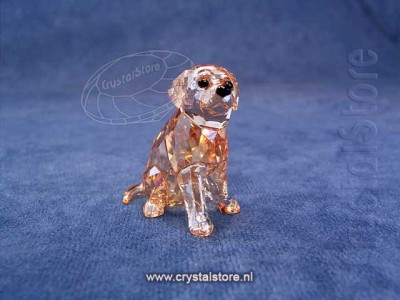 Swarovski Kristal 2013 1142825 Golden Retriever Pup Sitting