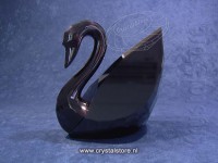Black Swan (Jet)