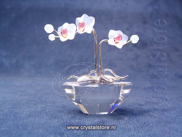 Orchidee Rhodium (geen sticker) Orchidee Rhodium (geen sticker)