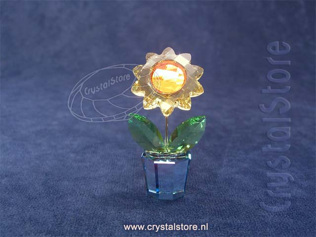 Zonnebloem Zonnebloem