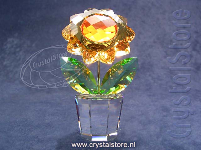 Zonnebloem middel Zonnebloem middel