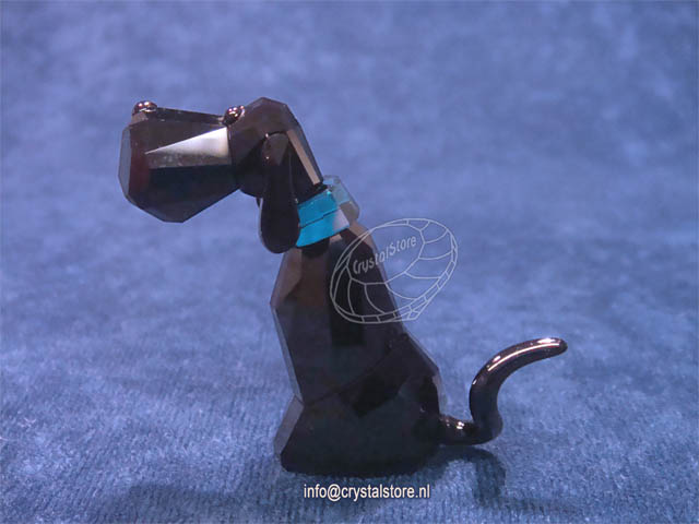 Salvatore  Salvatore