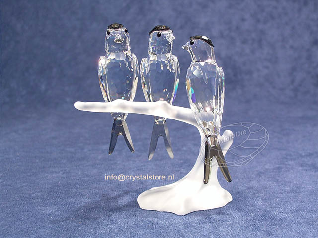 Zwaluwen (uitgave 2007) Zwaluwen (uitgave 2007)