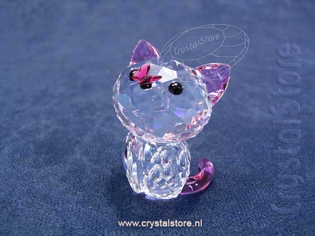 Kitten - Millie the American Shorthair Kitten - Millie the American Shorthair