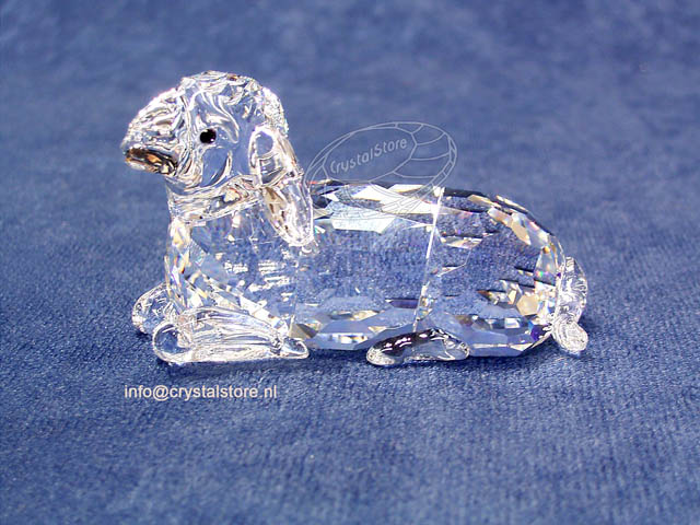 Moederschaap Moederschaap