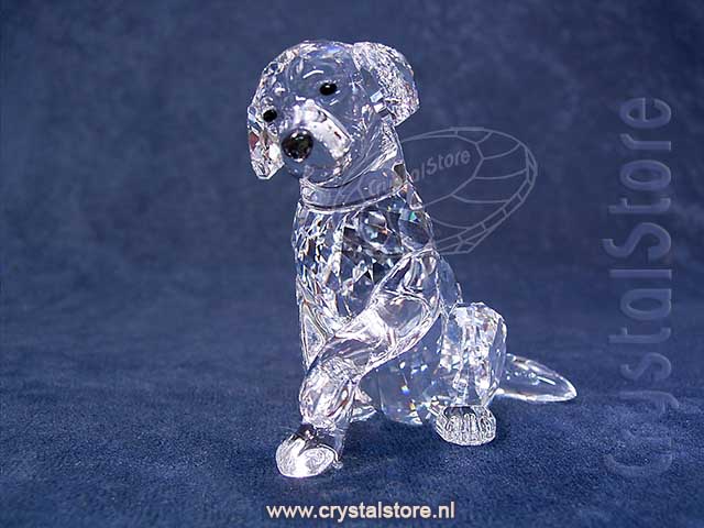 Labrador Moeder Labrador Moeder