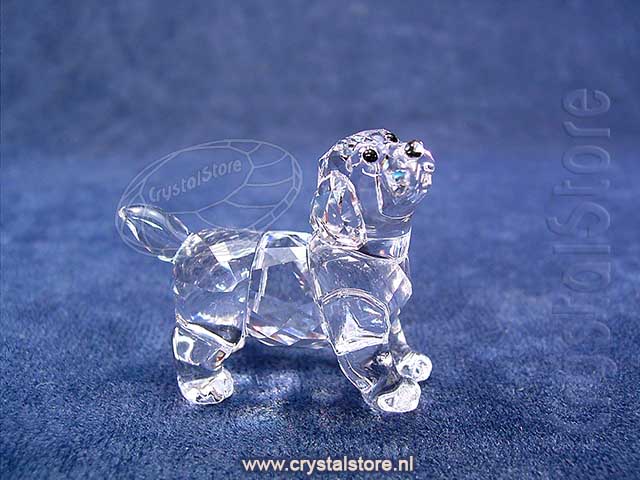 Labrador Puppy Staand Labrador Puppy Staand