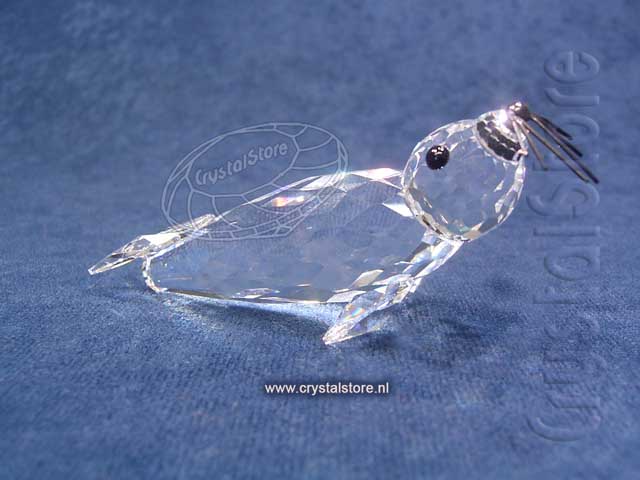 Zeehond  Zeehond