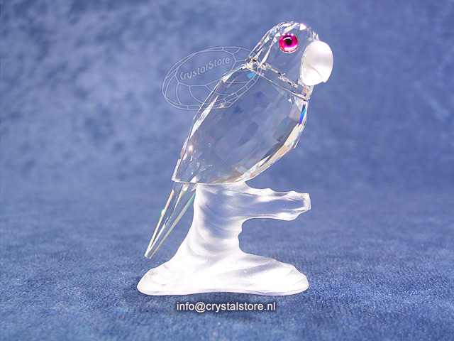 Papegaai op stam Papegaai op stam