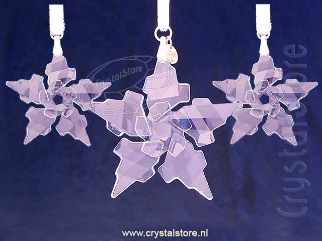 Kerstster Set 2021 Kerstster Set 2021