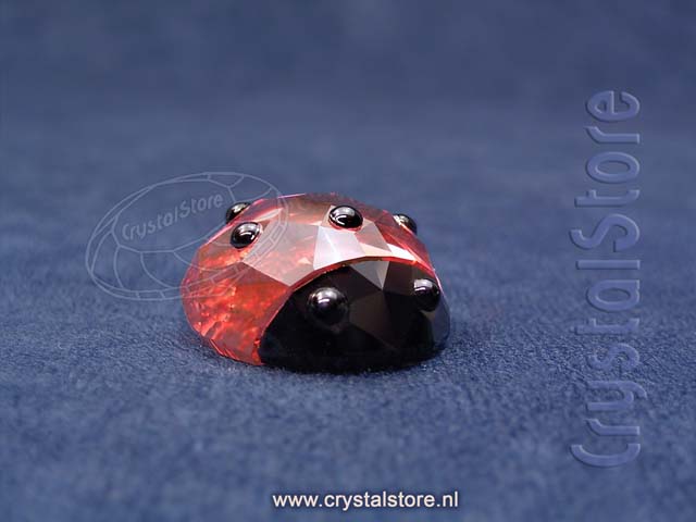 Lucky Lady Bird Lucky Lady Bird