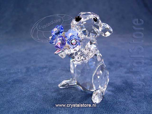 Konijn Vergeet mij niet Konijn Vergeet mij niet