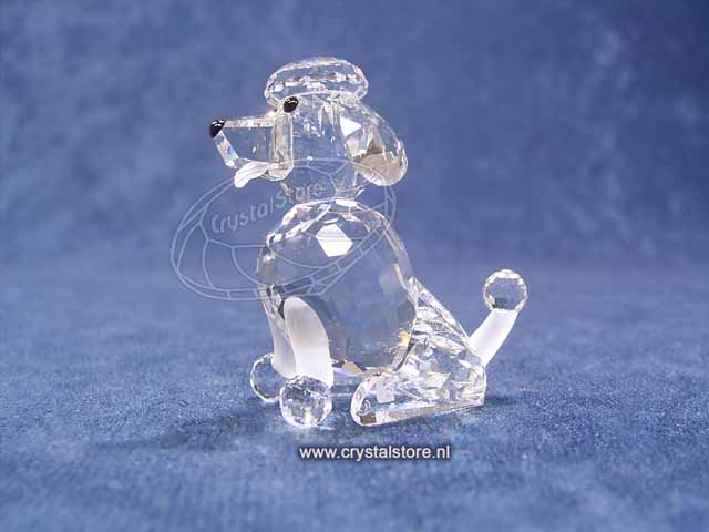 Poedel Zittend Poedel Zittend