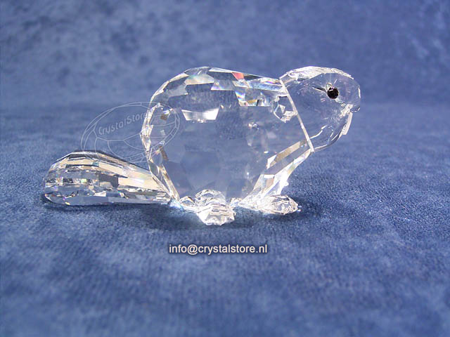 Bever moeder Bever moeder