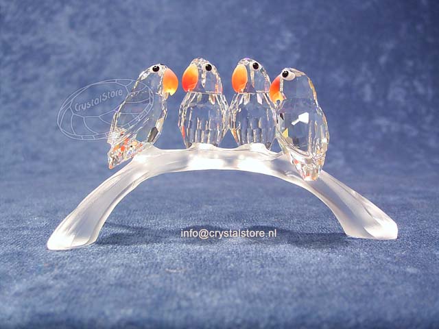 Dwergpapegaaien Dwergpapegaaien