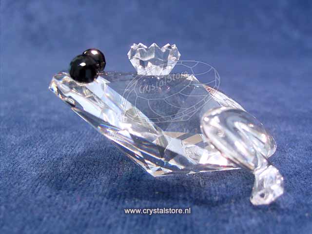 Kikker zwarte ogen Kikker zwarte ogen