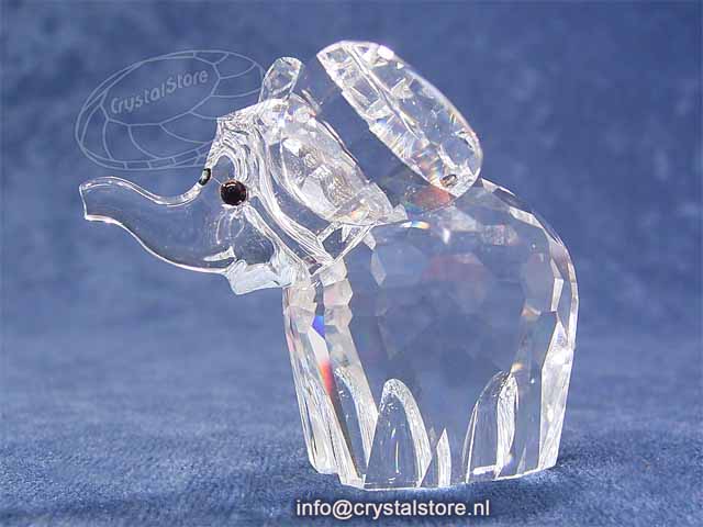 Olifant groot Olifant groot