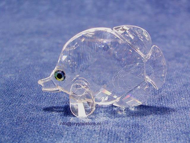 Vlindervisje Vlindervisje