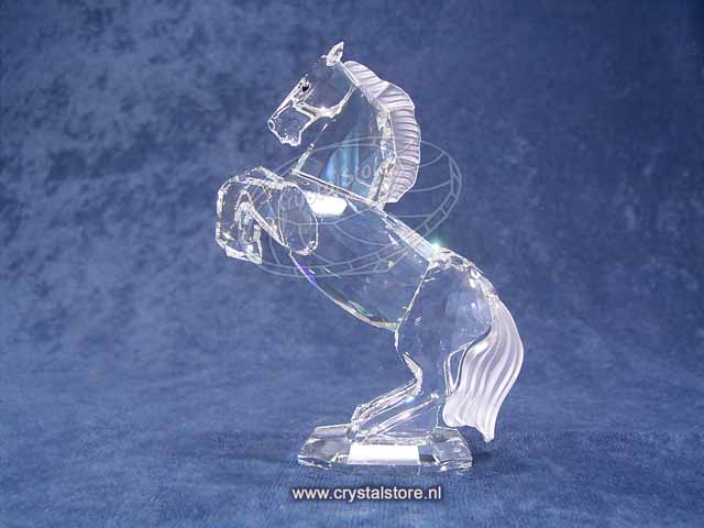 Witte hengst Witte hengst