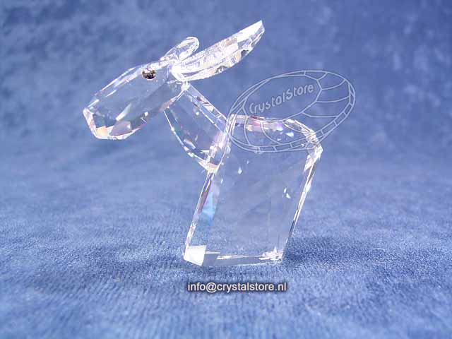 Ricci groot  Ricci groot