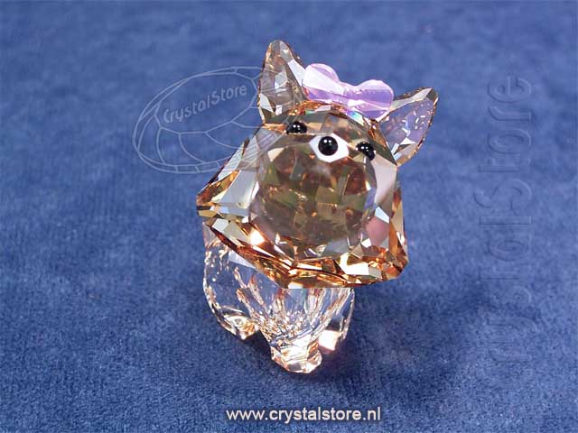 Puppy - Dixie De Yorkshire Terrier Puppy - Dixie De Yorkshire Terrier