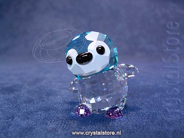 SCS - Big Brother Paco SCS - Big Brother Paco