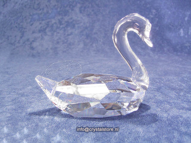 Zwaan flirting (geen doos ) Zwaan flirting (geen doos )