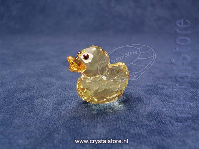 Sunny Sandy Sunny Sandy