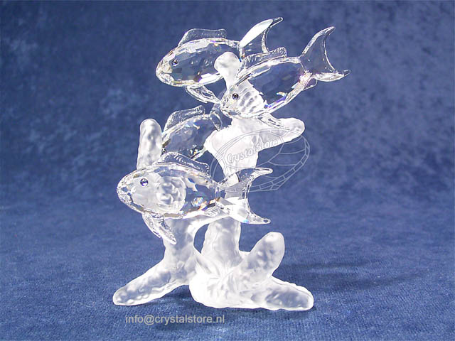 School Vissen School Vissen